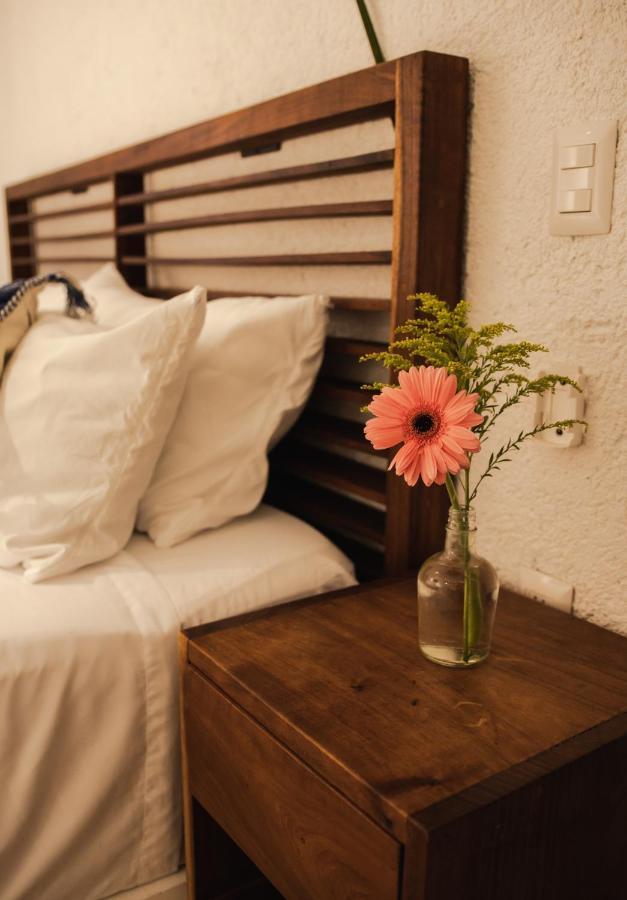 Hotel Selva Maya 바칼라르 외부 사진
